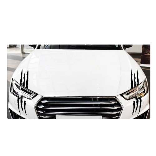 Set 2 x Sticker Auto Zgarieturi audi diverse