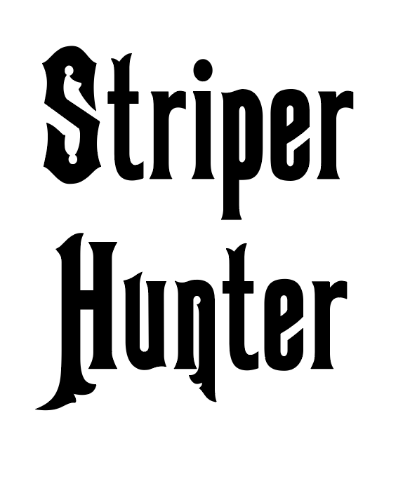 Sticker Auto - Stripe Hunter peste