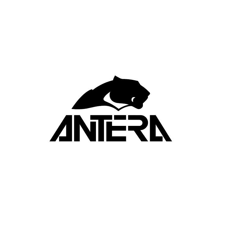 Sticker Auto - Antera diverse sponsori