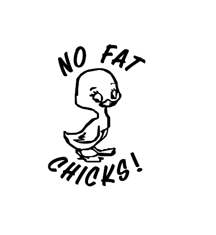 Sticker Auto - Pui Gaina - No Fat Chicks