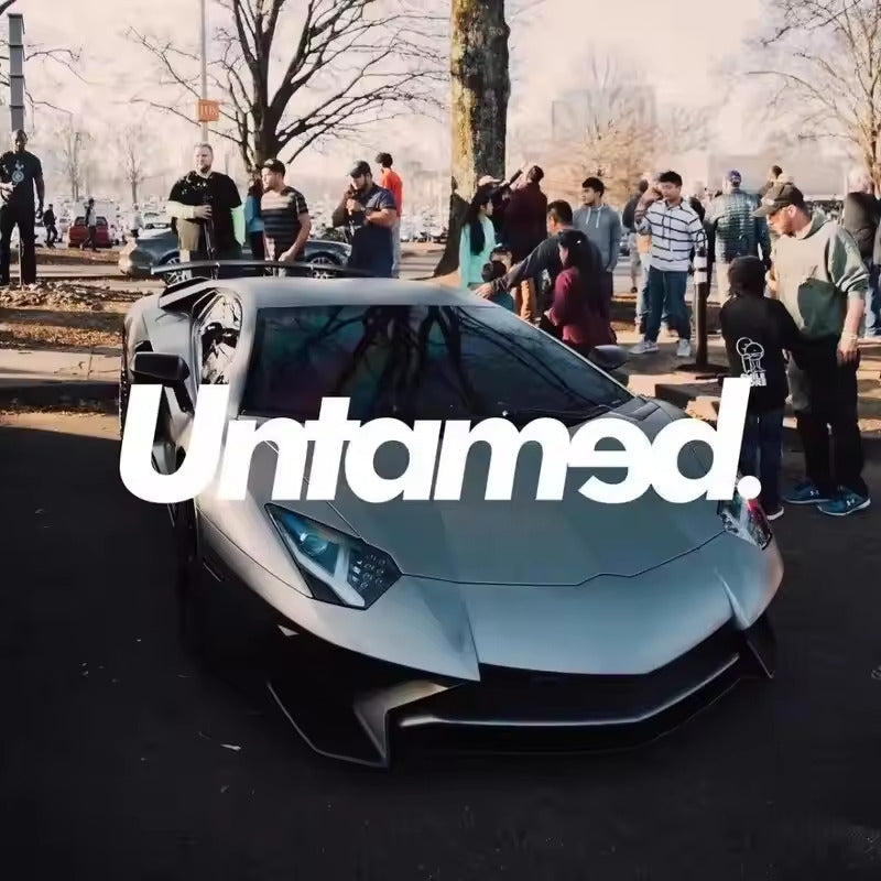 Sticker Auto Parbriz - Untamed diverse parbriz