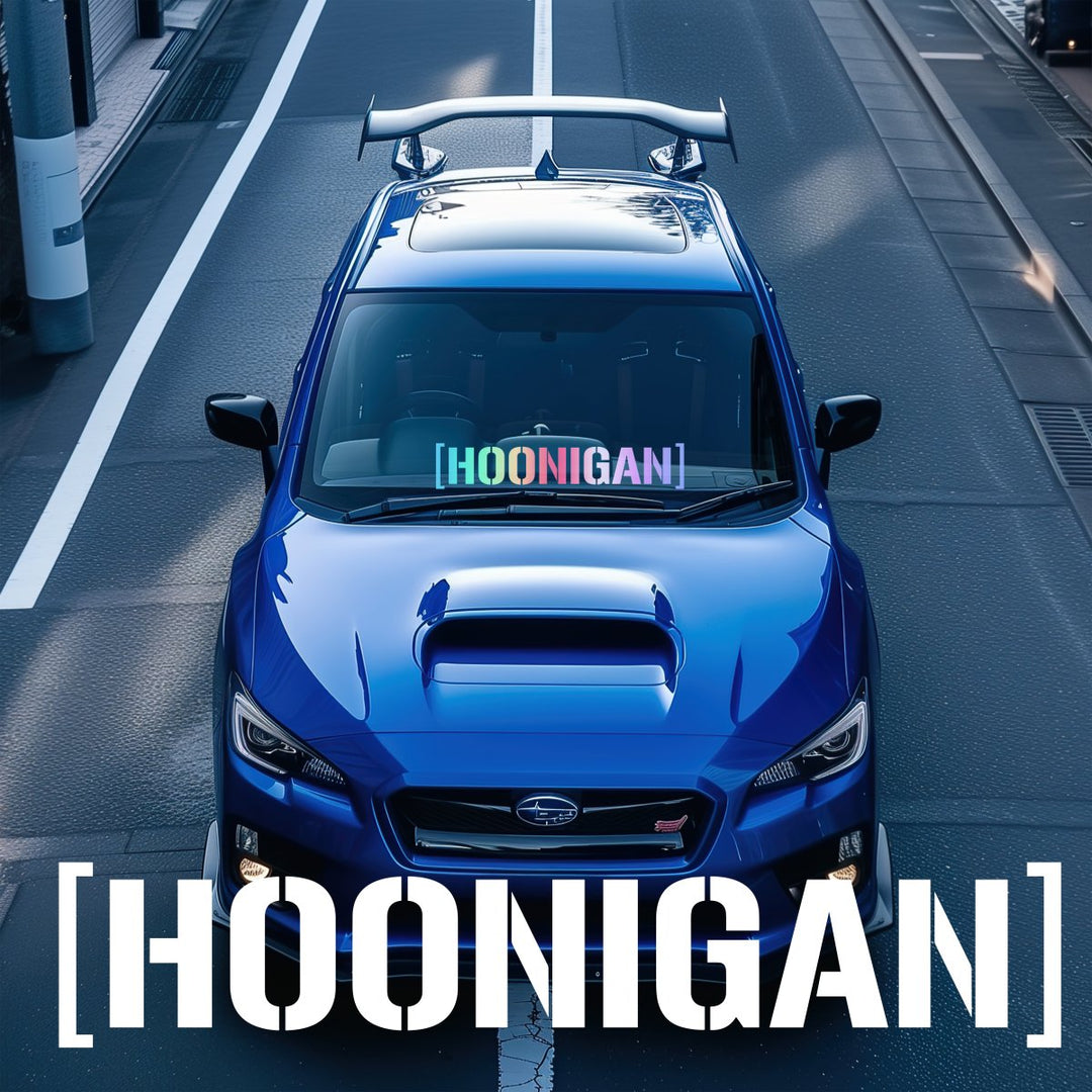 Sticker Auto HOONIGAN diverse parbriz