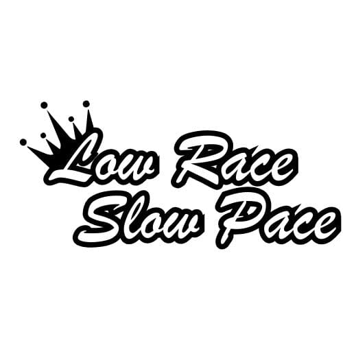 Sticker Auto Race Slow Pace diverse parbriz