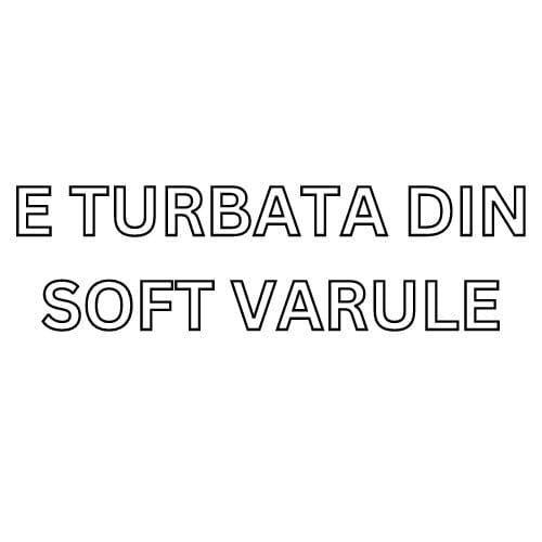 Sticker auto E Turbata Din Soft Varule